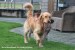 IMG 2887