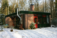 bosuilsneeuw